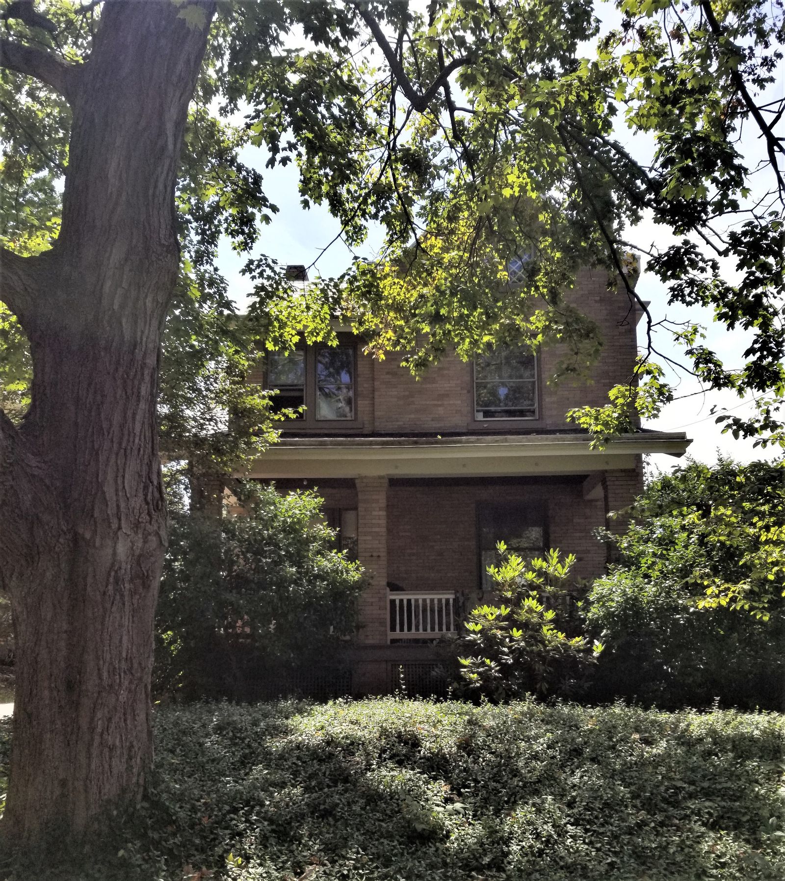 Front exterior before renovation, hidden by overgrown trees